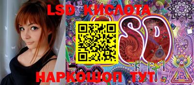 apvp Краснодар