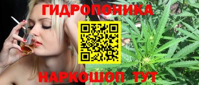 apvp Краснодар