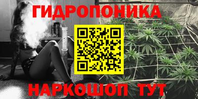 бошки Краснознаменск