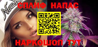 apvp Краснодар