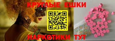 apvp Краснодар