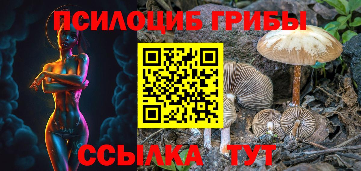 Псилоцибиновые грибы мухоморы Благовещенск