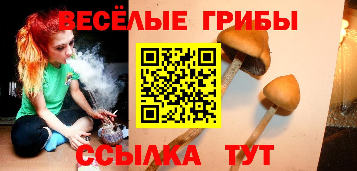 Галлюциногенные грибы MAGIC MUSHROOMS  Вход с VPN  Благовещенск 